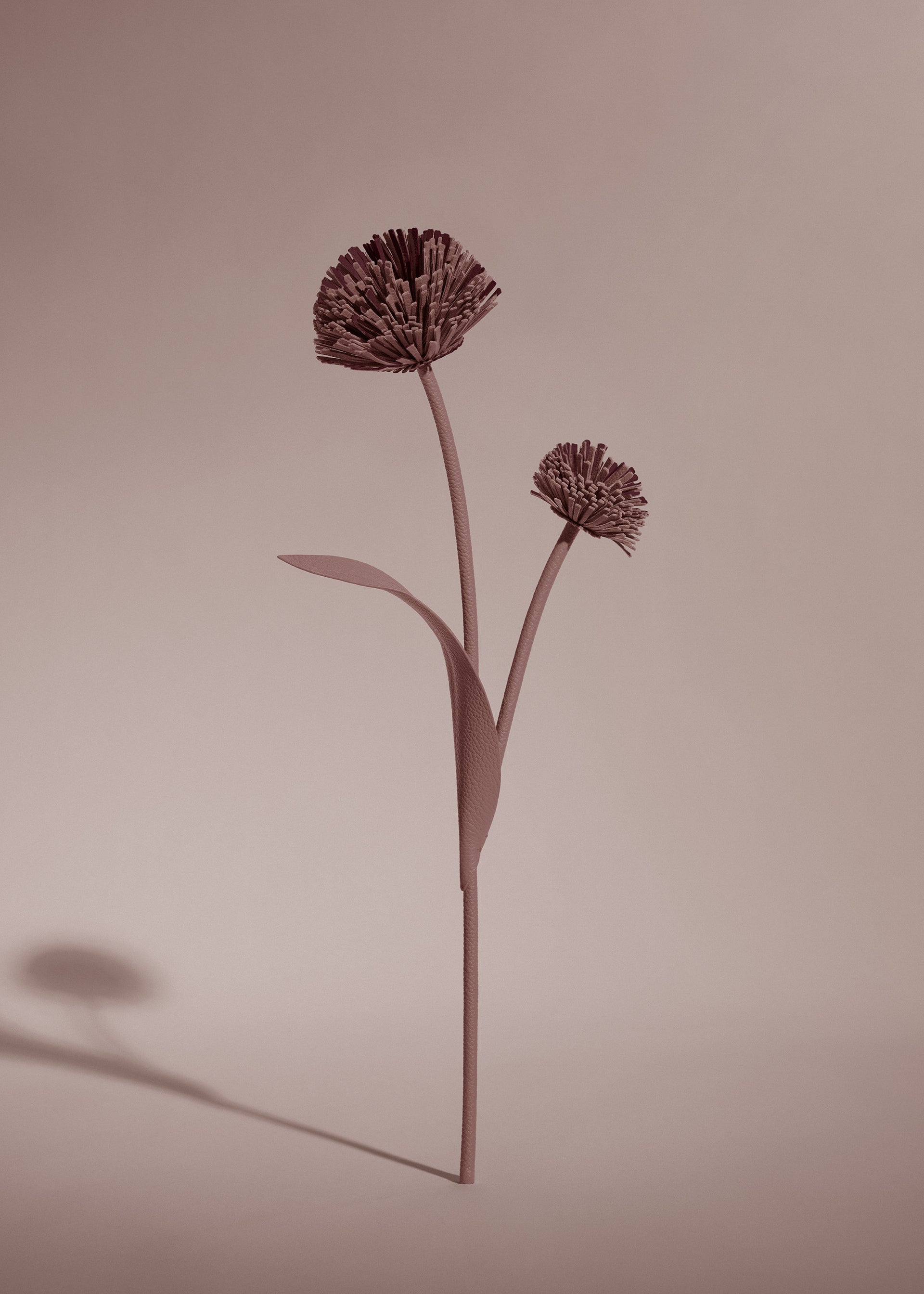 Blume Tul - Duo Lilac