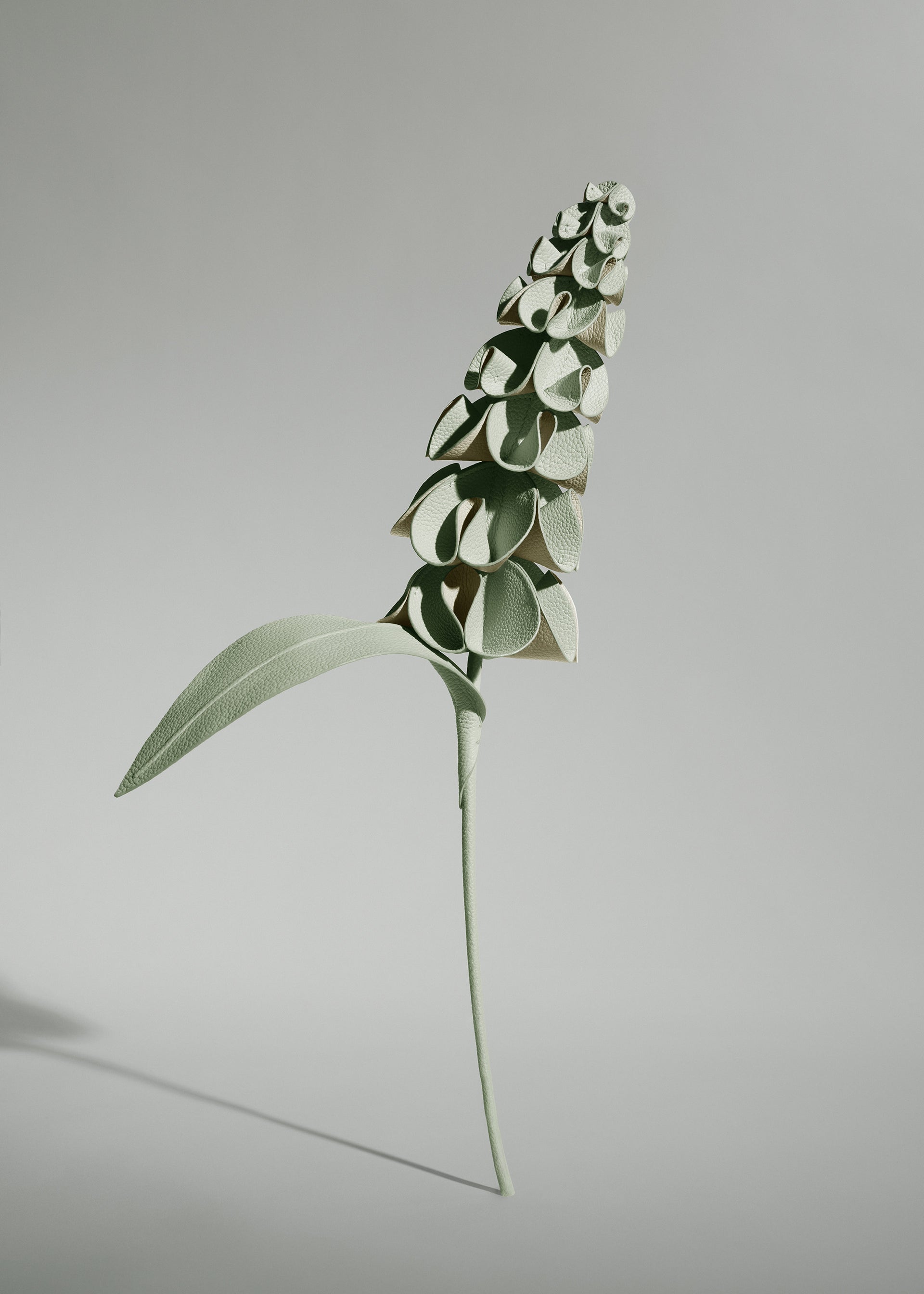 Blume Orki - Duo Mandel Fresh
