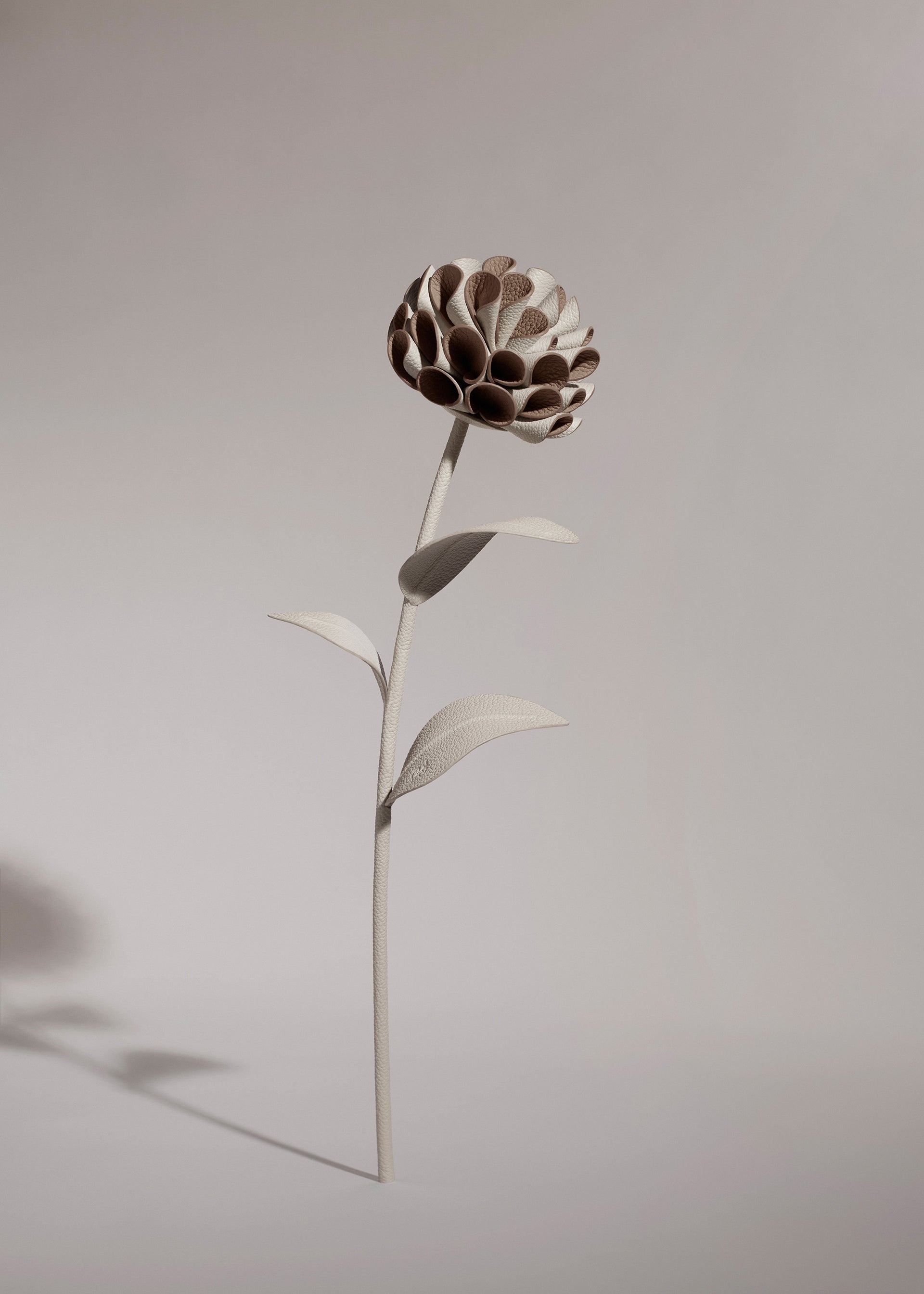Blume Dalium - Duo Kreide