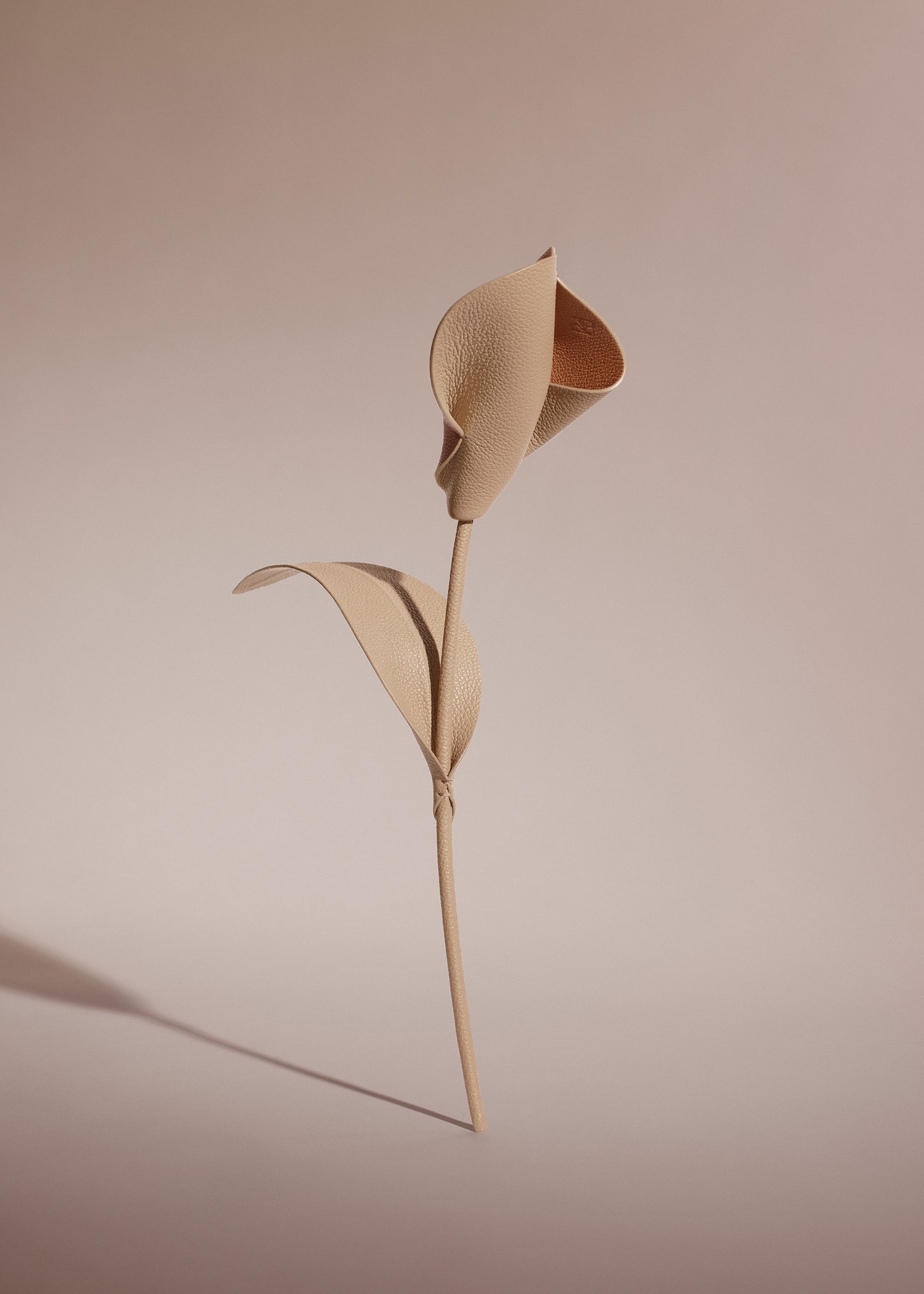 Blume Pili - Duo Beige