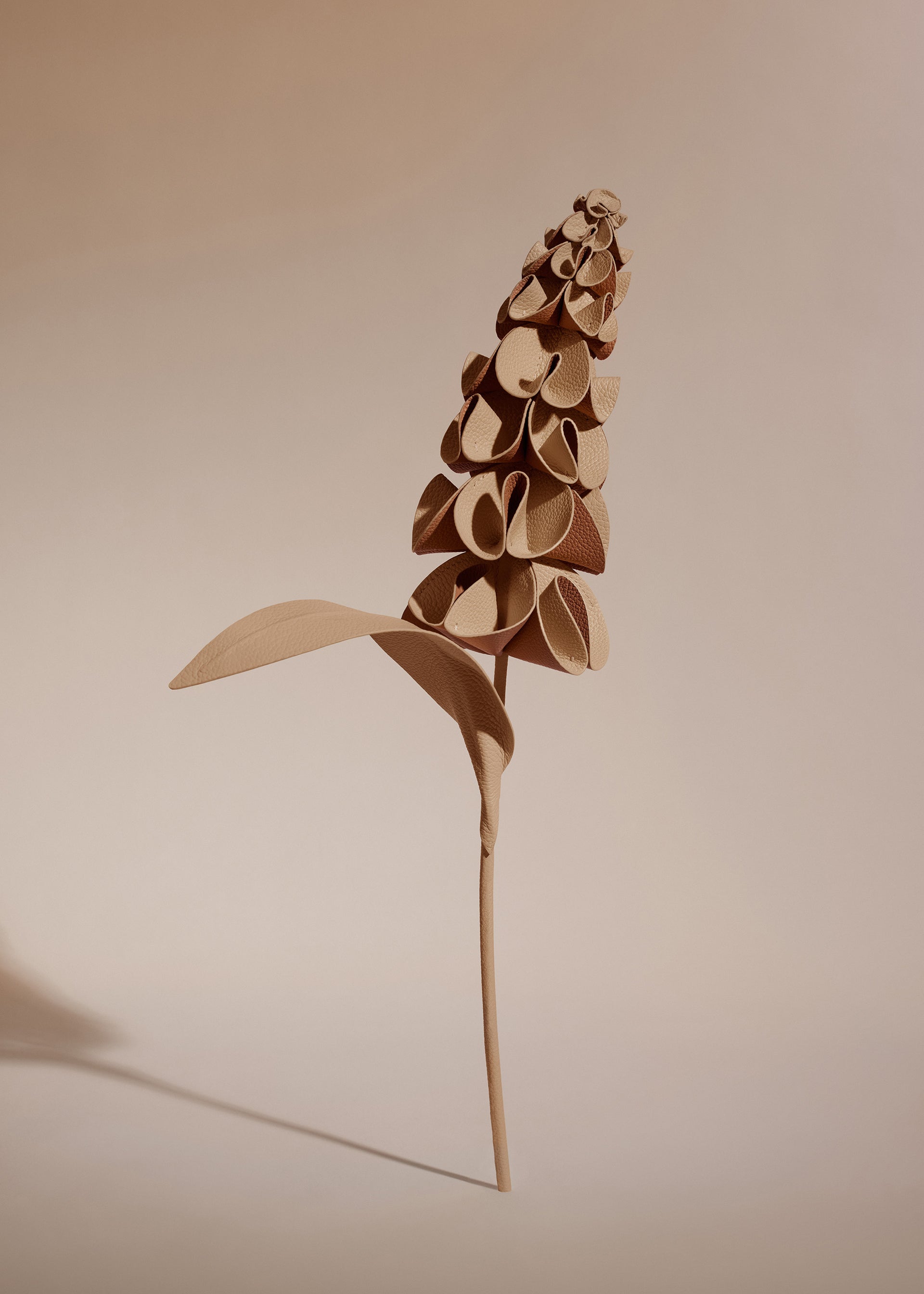 Blume Orki - Duo Beige