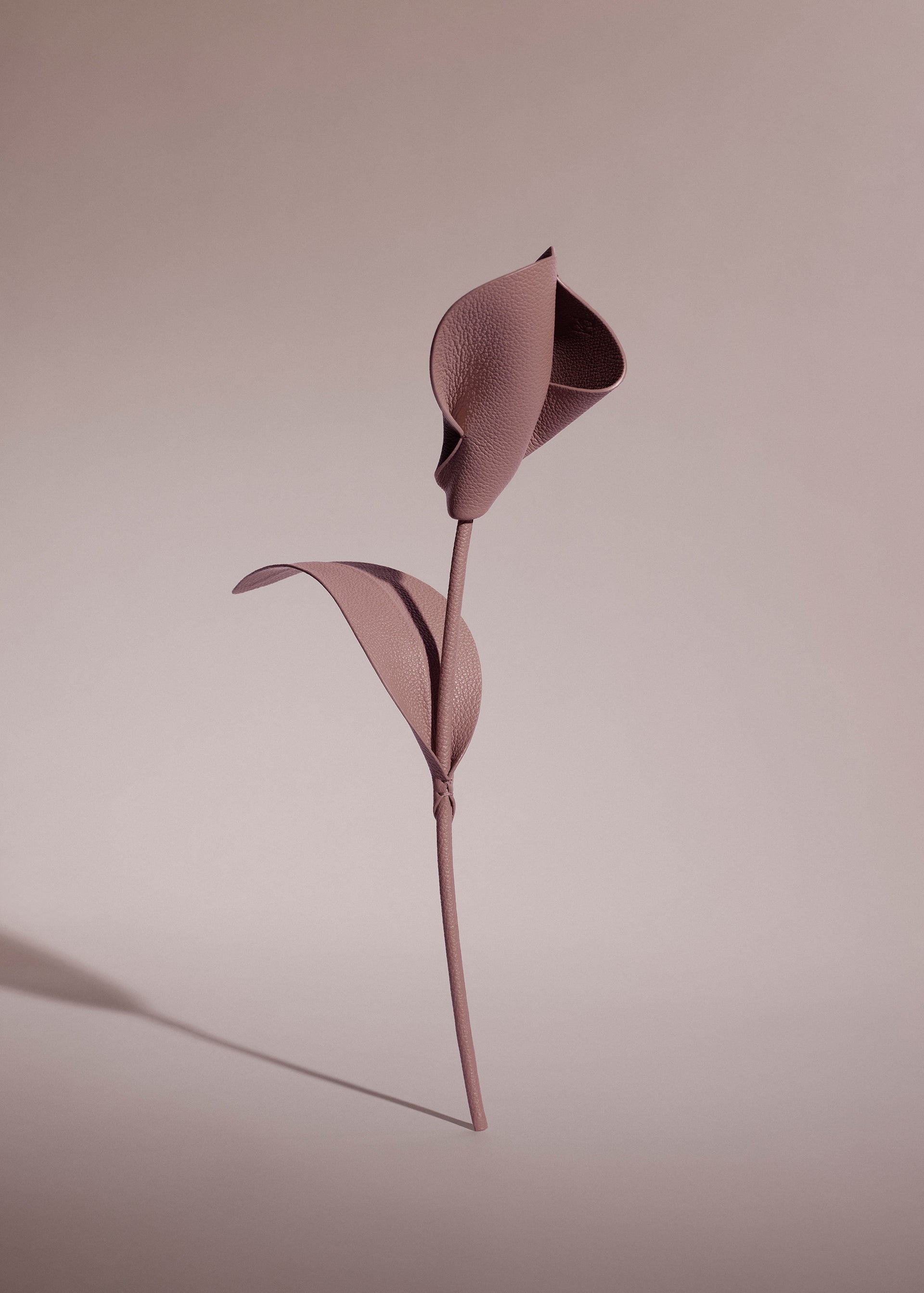 Blume Pili - Duo Lilac
