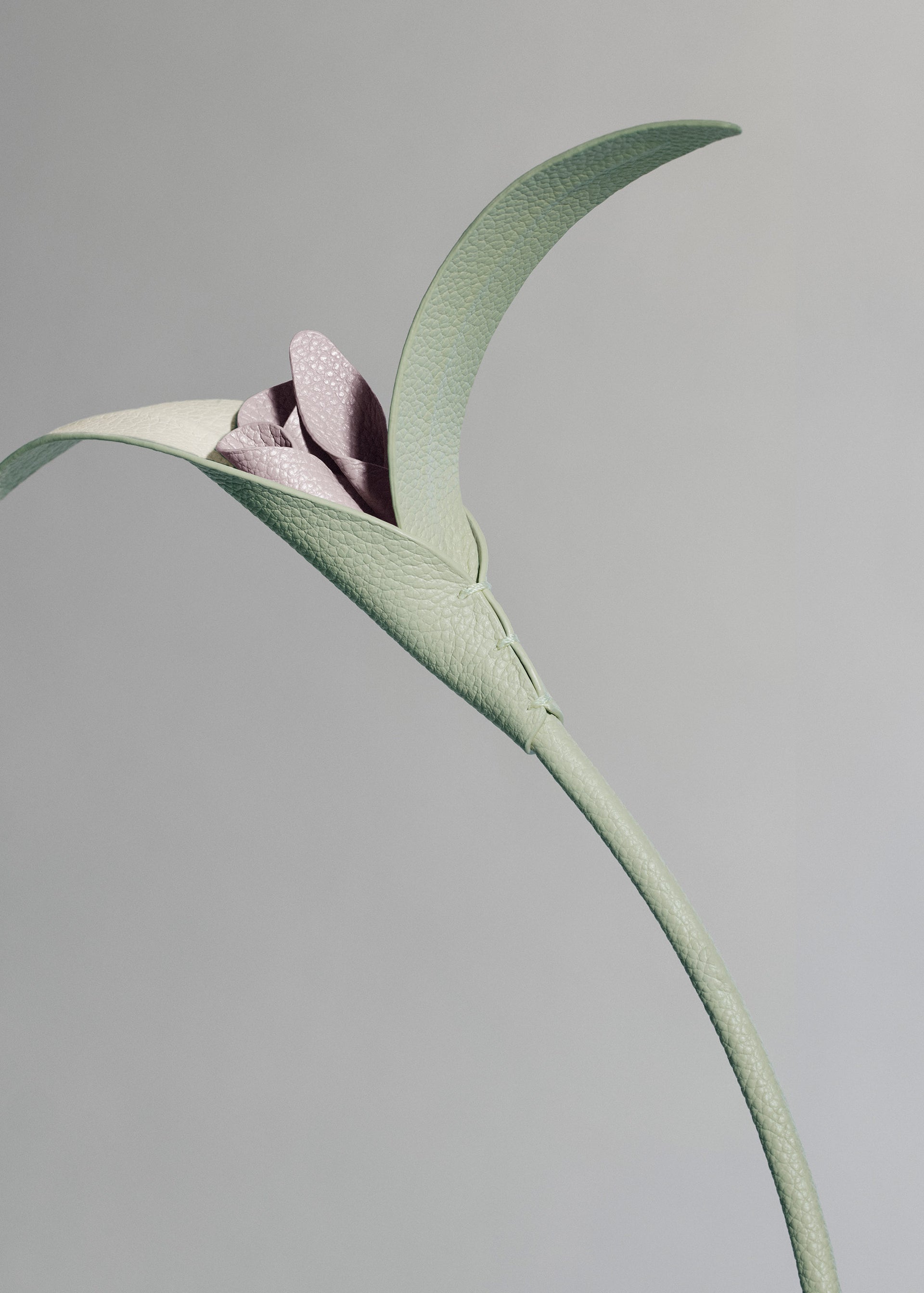 Blume Touka - Trio Mandel Fresh