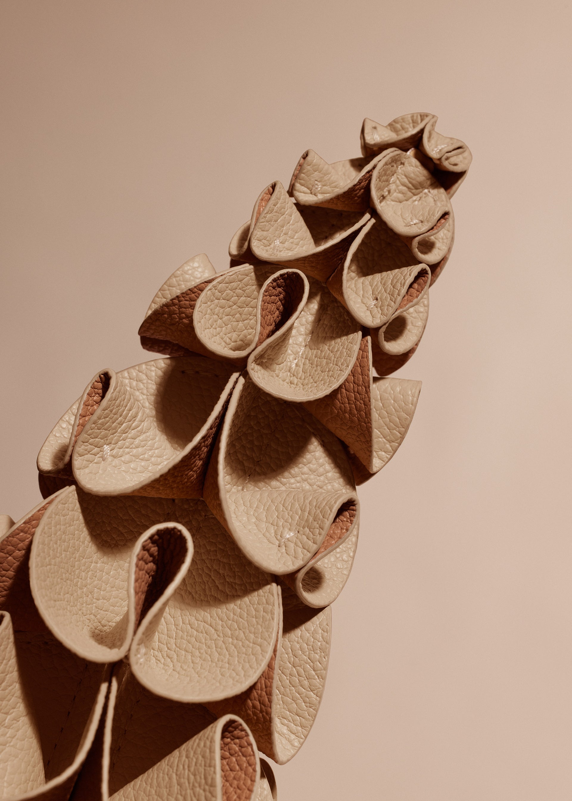 Blume Orki - Duo Beige
