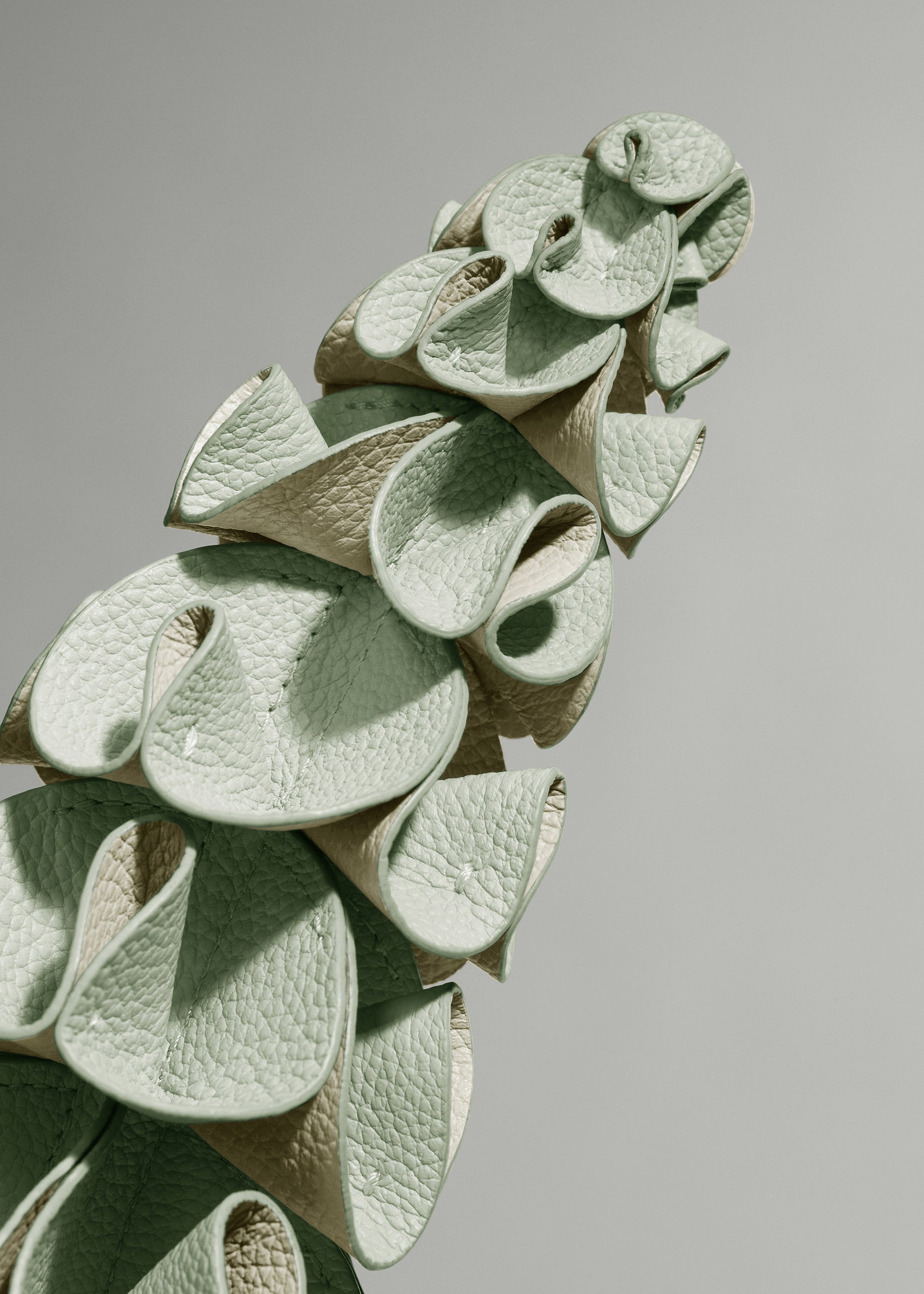 Blume Orki - Duo Mandel Fresh