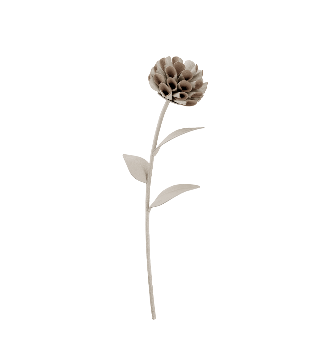 Blume Dalium - Duo Kreide