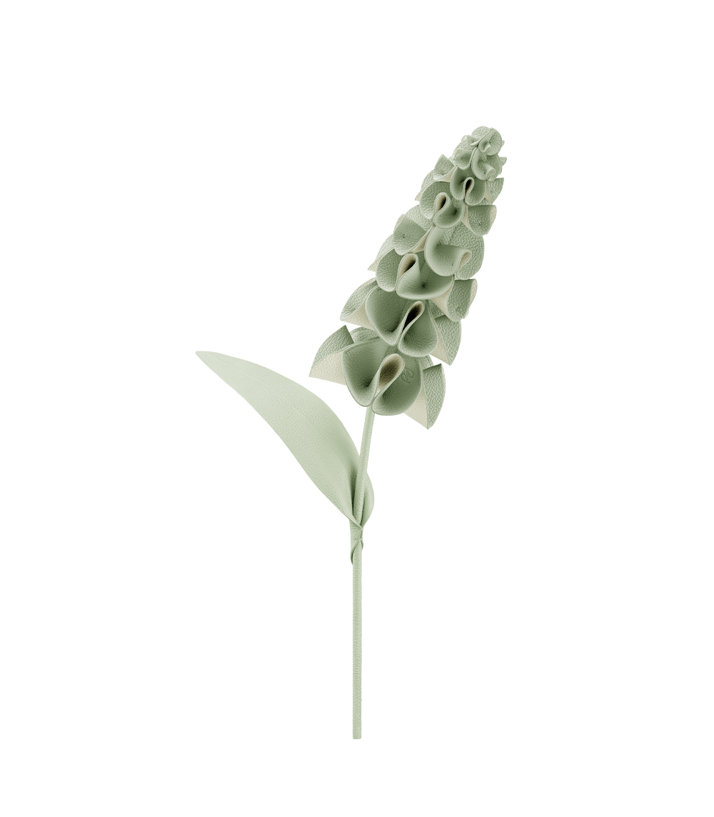 Blume Orki - Duo Mandel Fresh