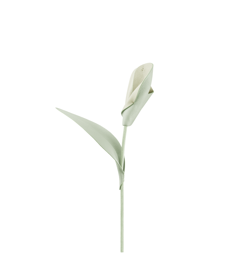 Blume Pili - Duo Mandel Fresh