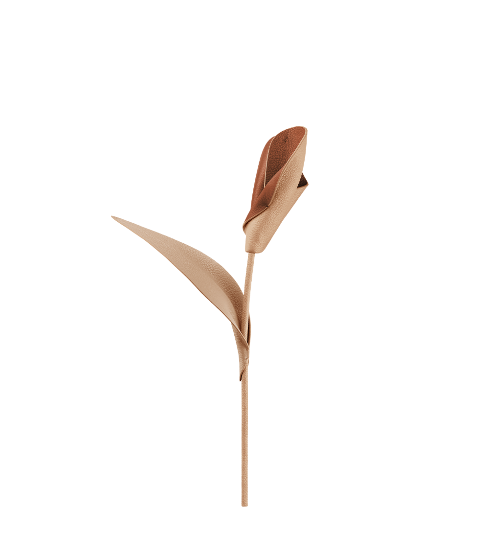 Blume Pili - Duo Beige