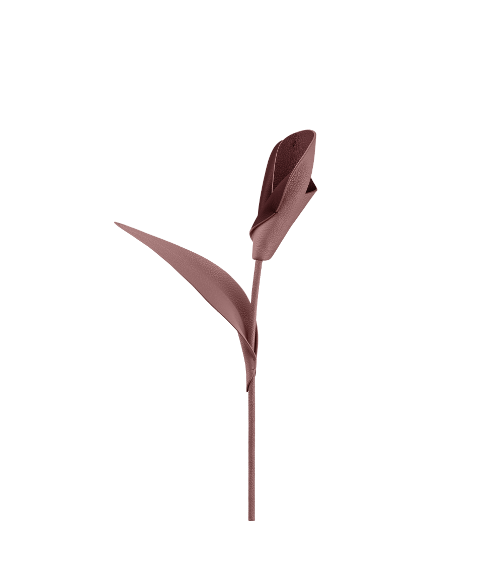 Blume Pili - Duo Lilac