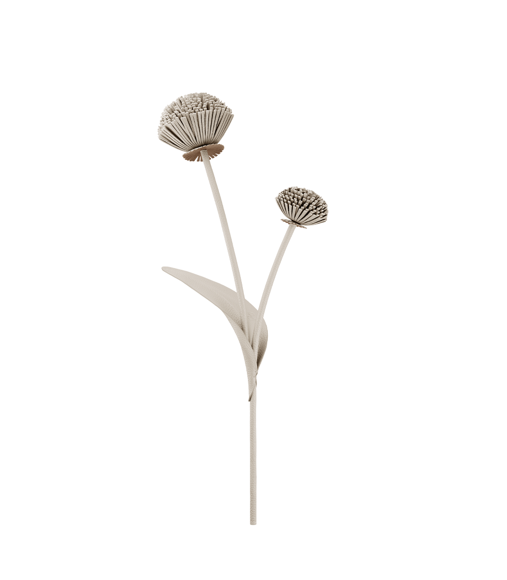 Blume Tul - Duo Kreide