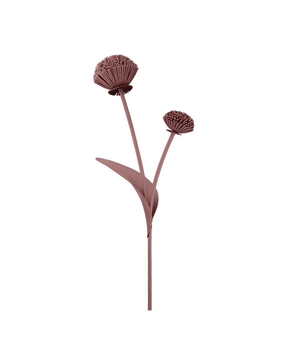 Blume Tul - Duo Lilac