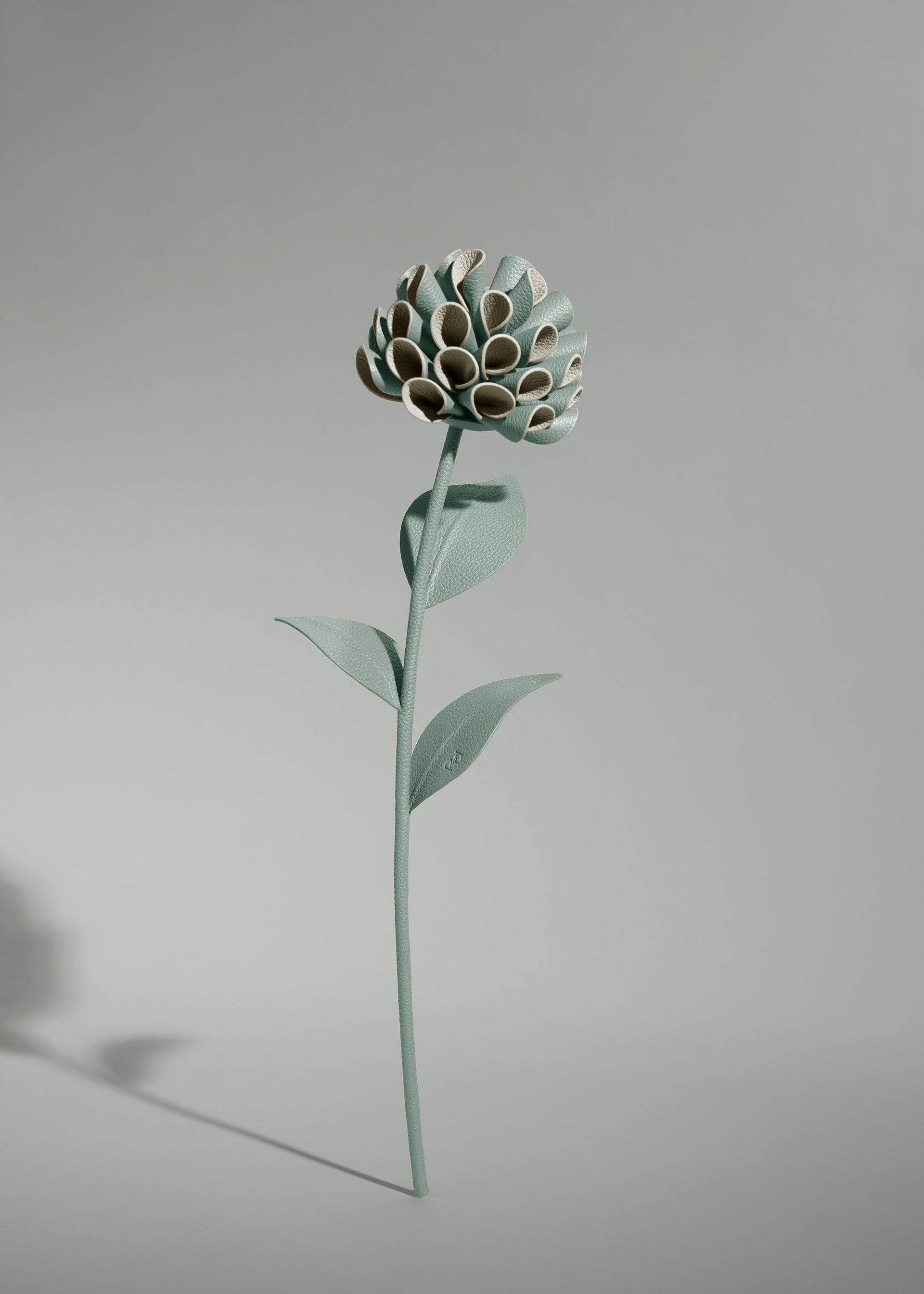 Blume Dalium - Mandel Fresh