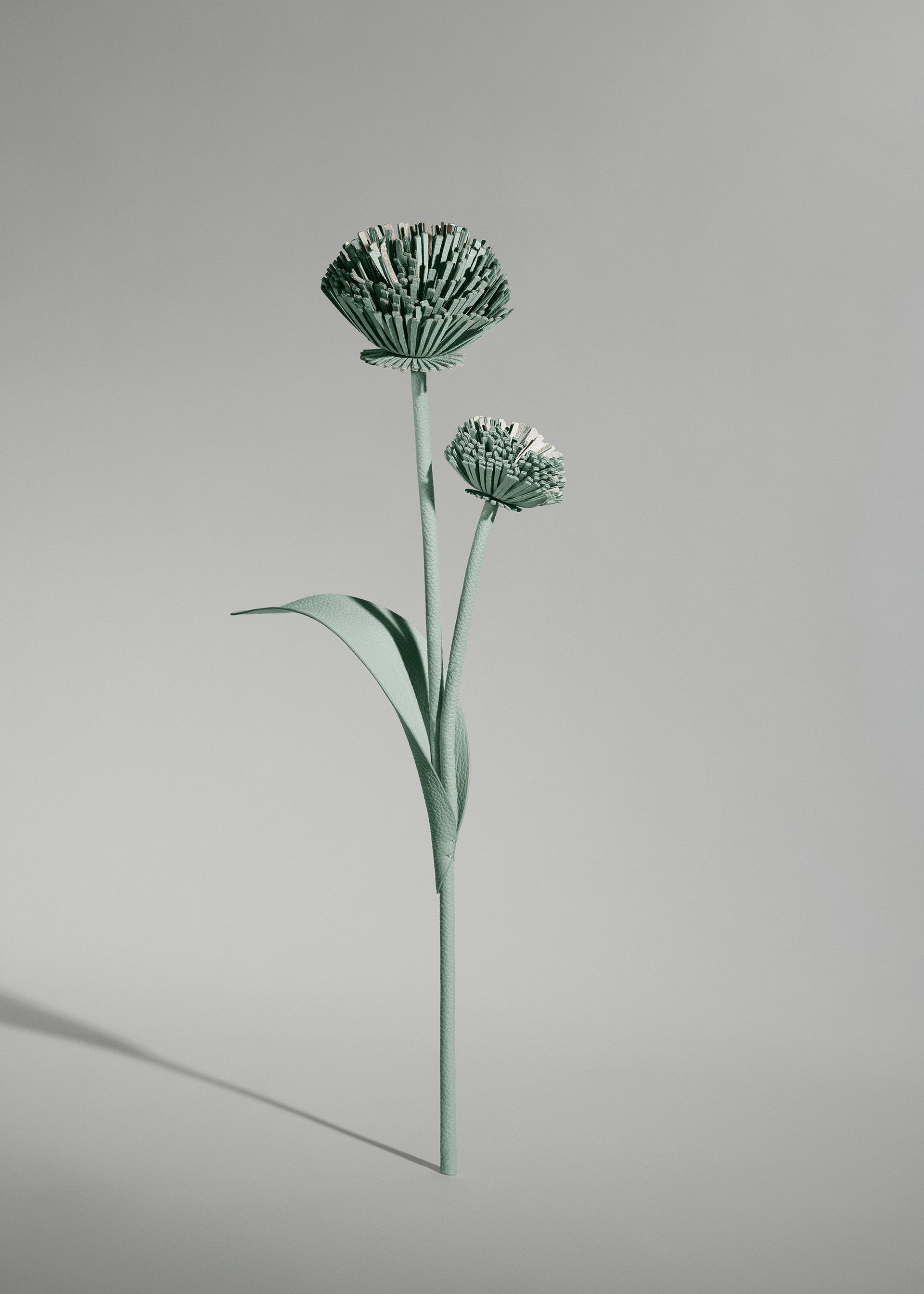 Blume Tul - Mandel Fresh