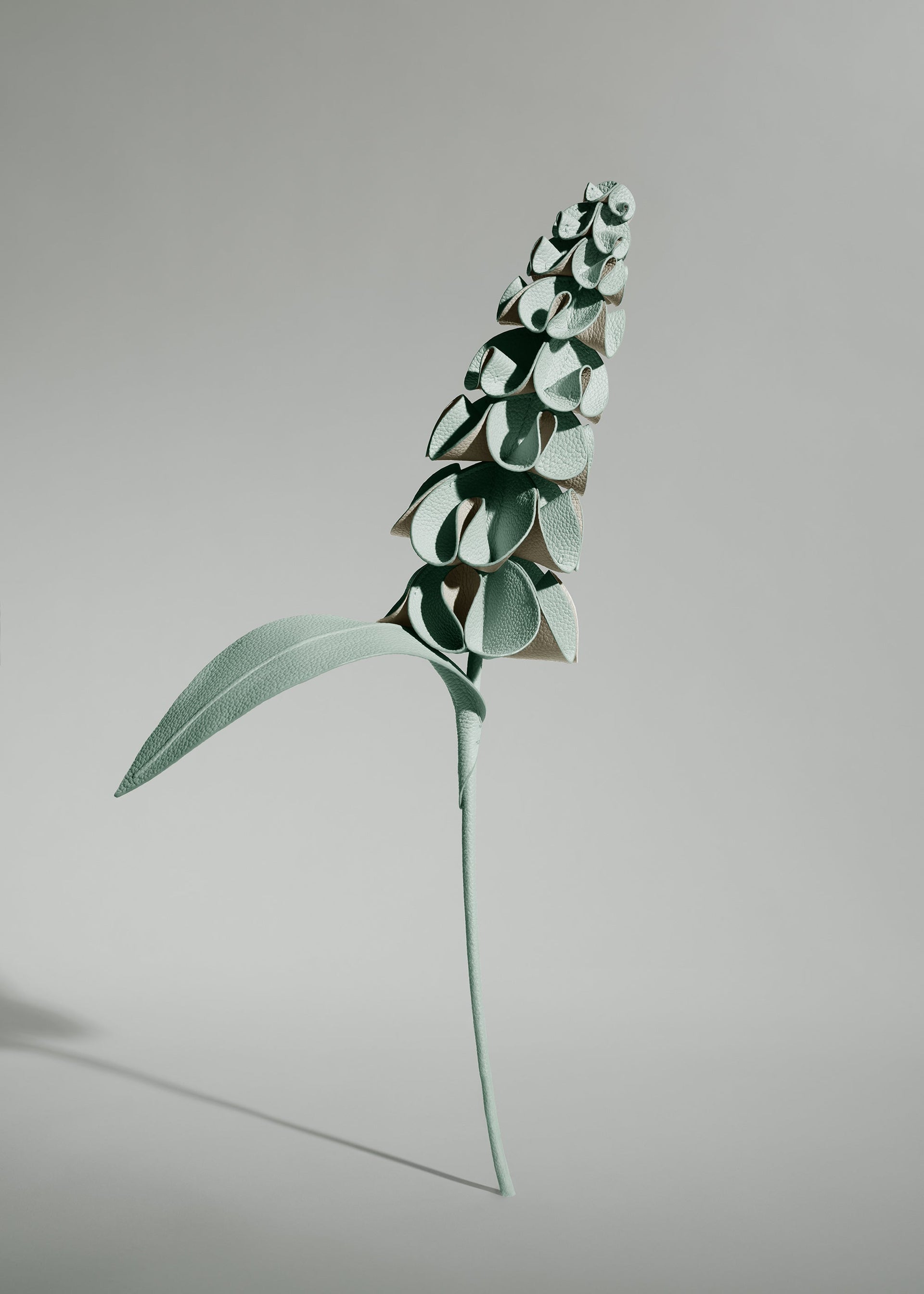 Blume Orki - Mandel Fresh