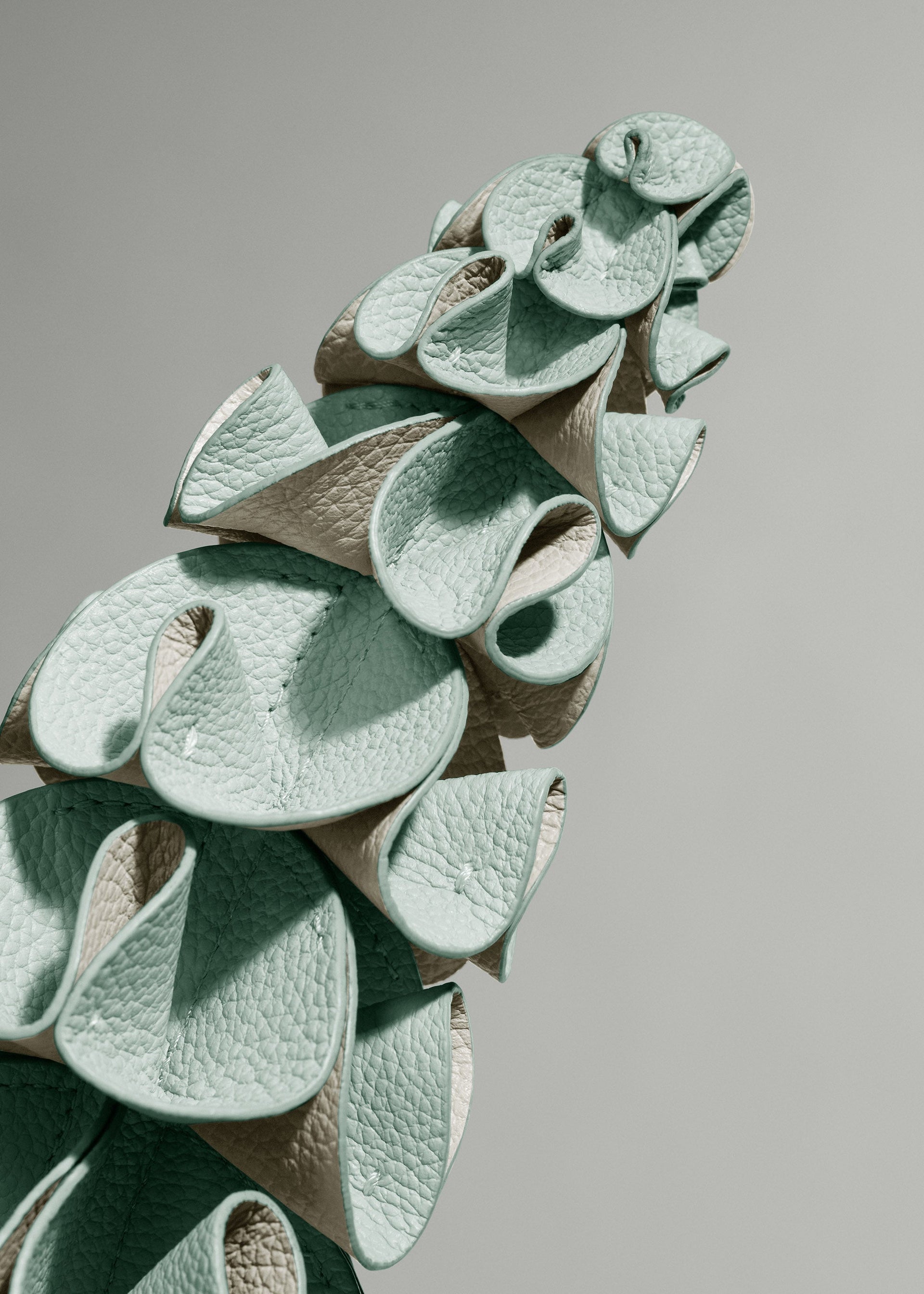 Blume Orki - Mandel Fresh