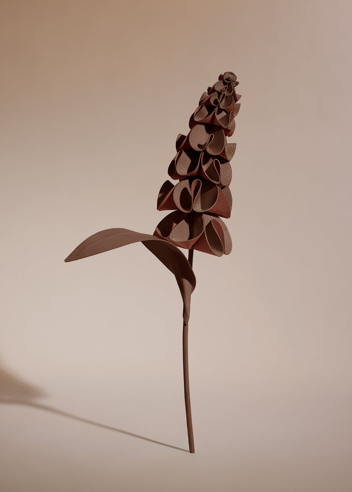 Blume Orki  - Wurzel