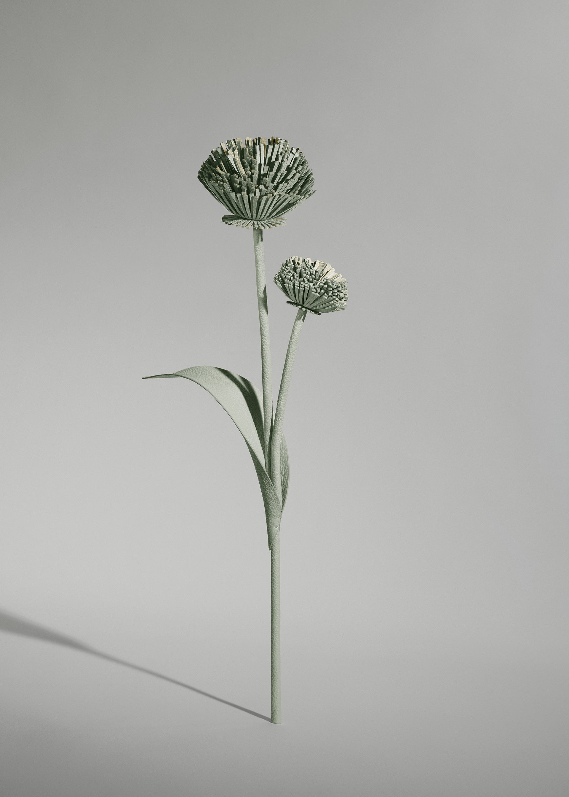 Blume Tul - Duo Mandel Fresh