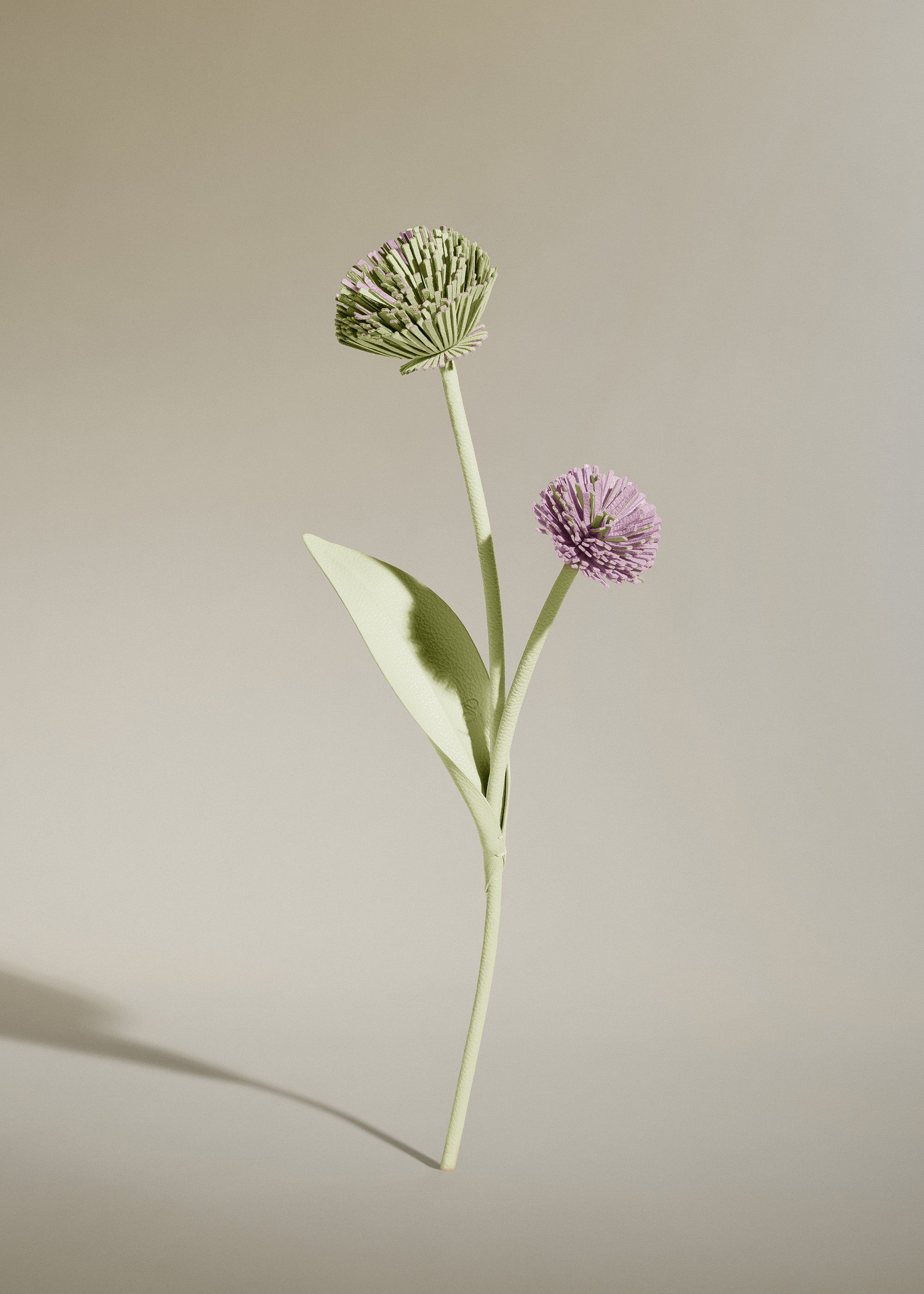 Blume Tul  - Aloe Vera