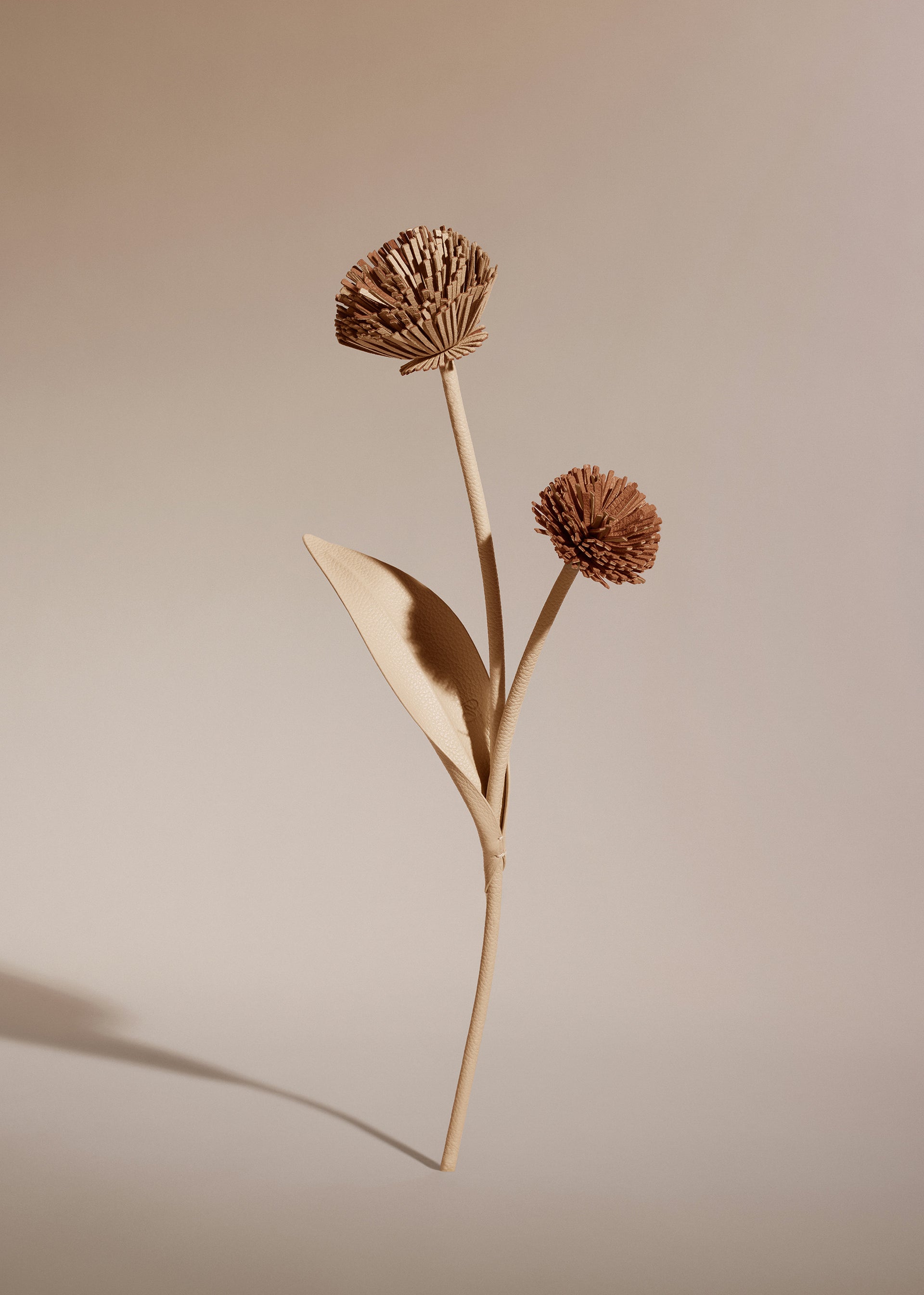 Blume Tul - Duo Beige