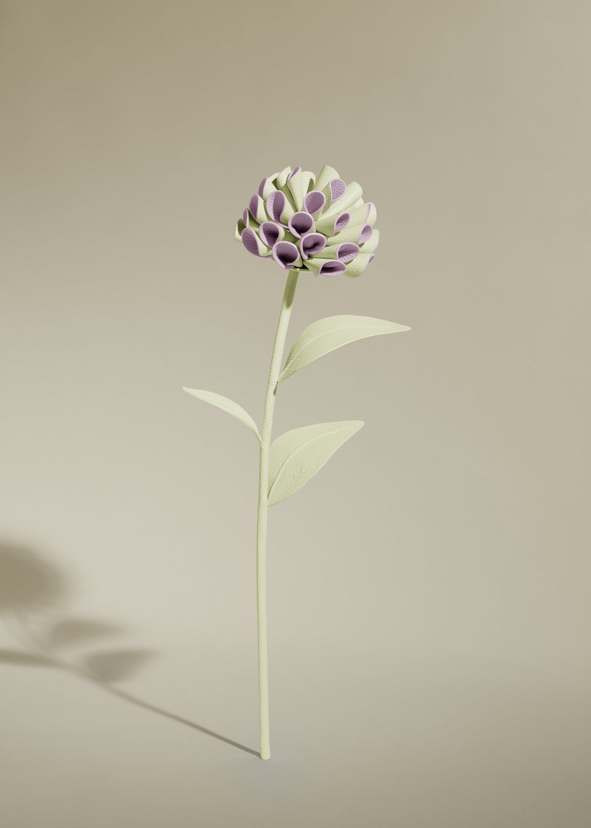 Blume Dalium  - Aloe Vera