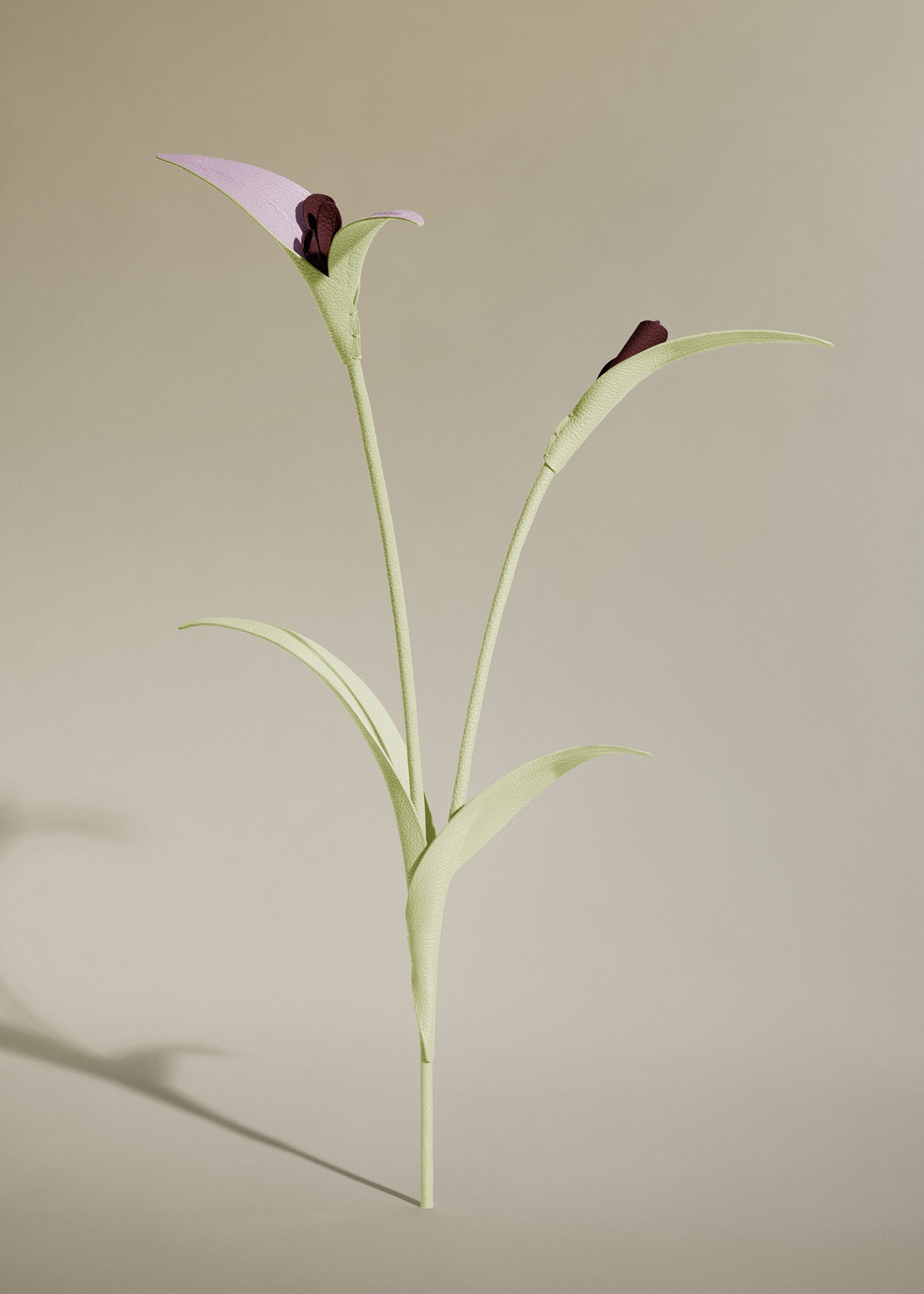 Blume Touka  - Aloe Vera
