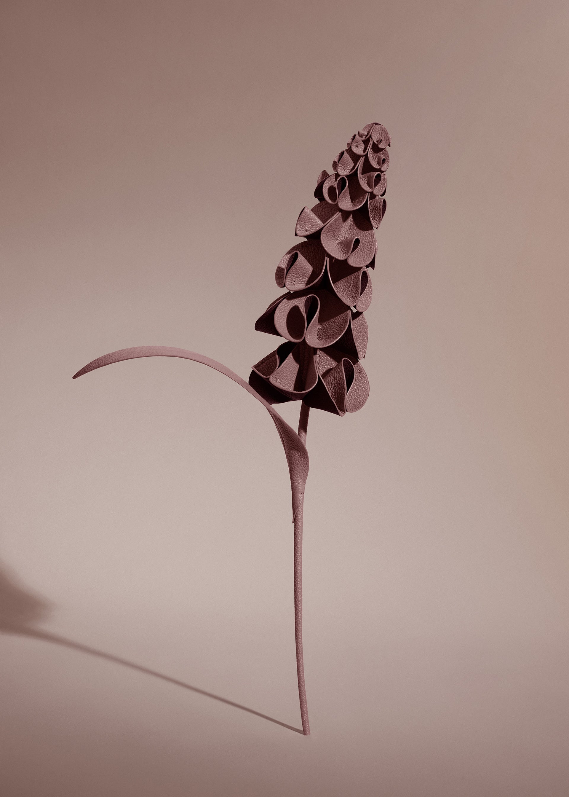 Blume Orki - Duo Lilac