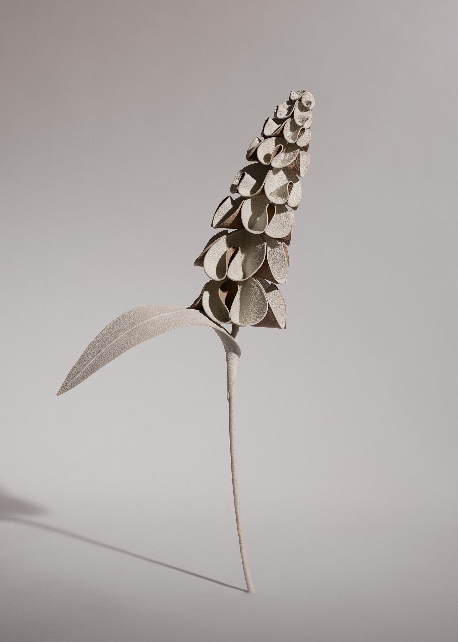Blume Orki - Duo Kreide