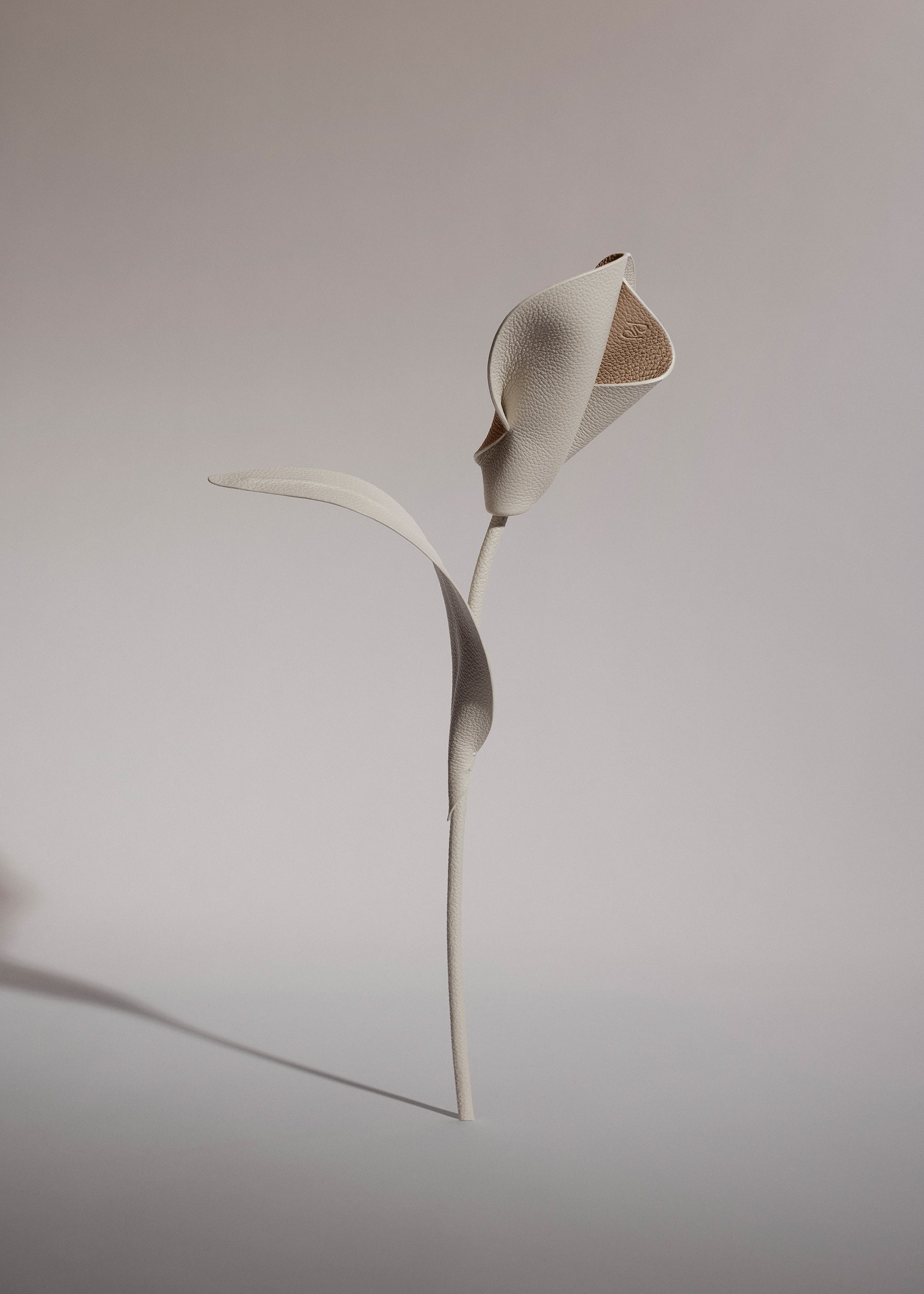 Blume Pili - Duo Kreide