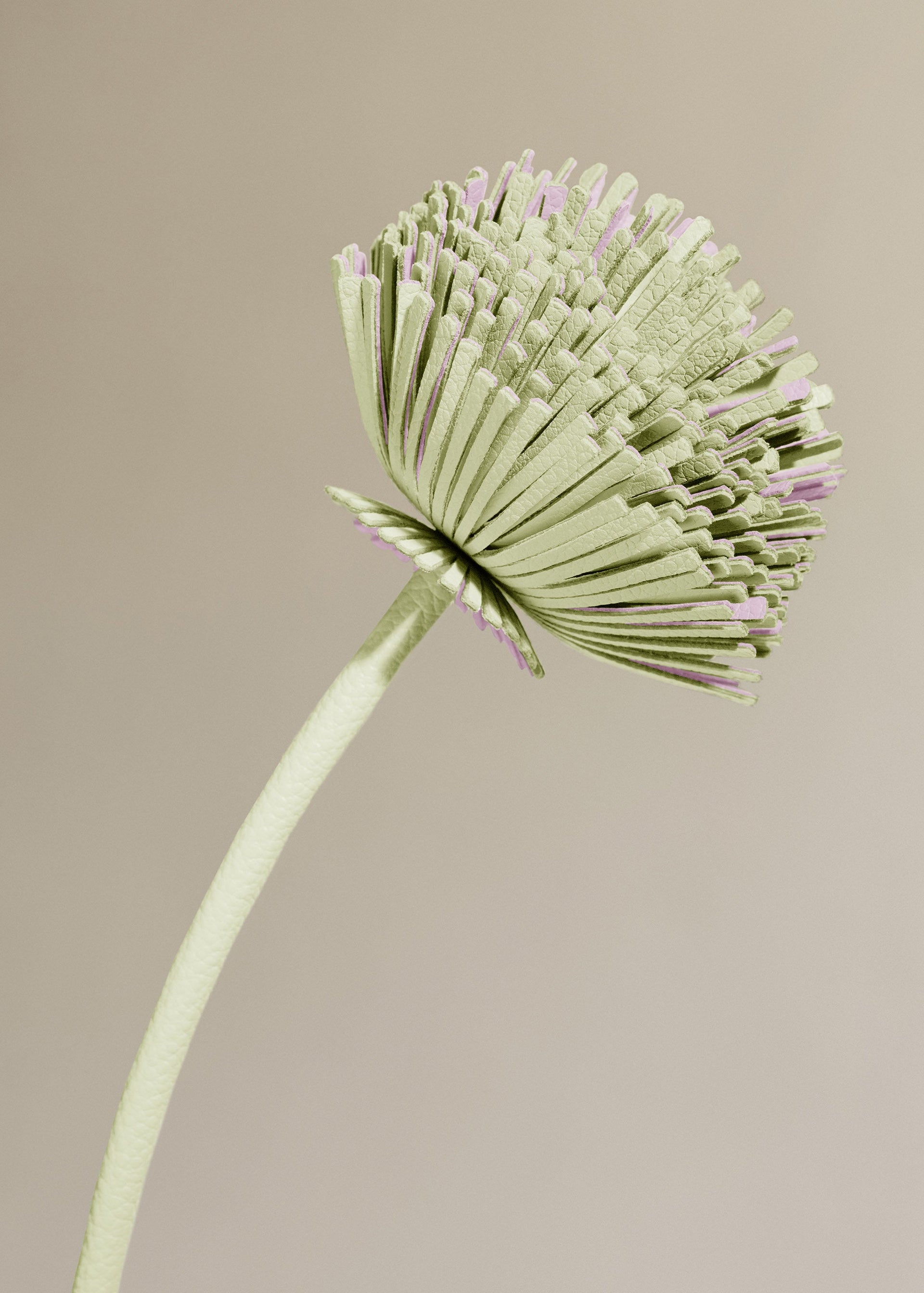Blume Tul  - Aloe Vera