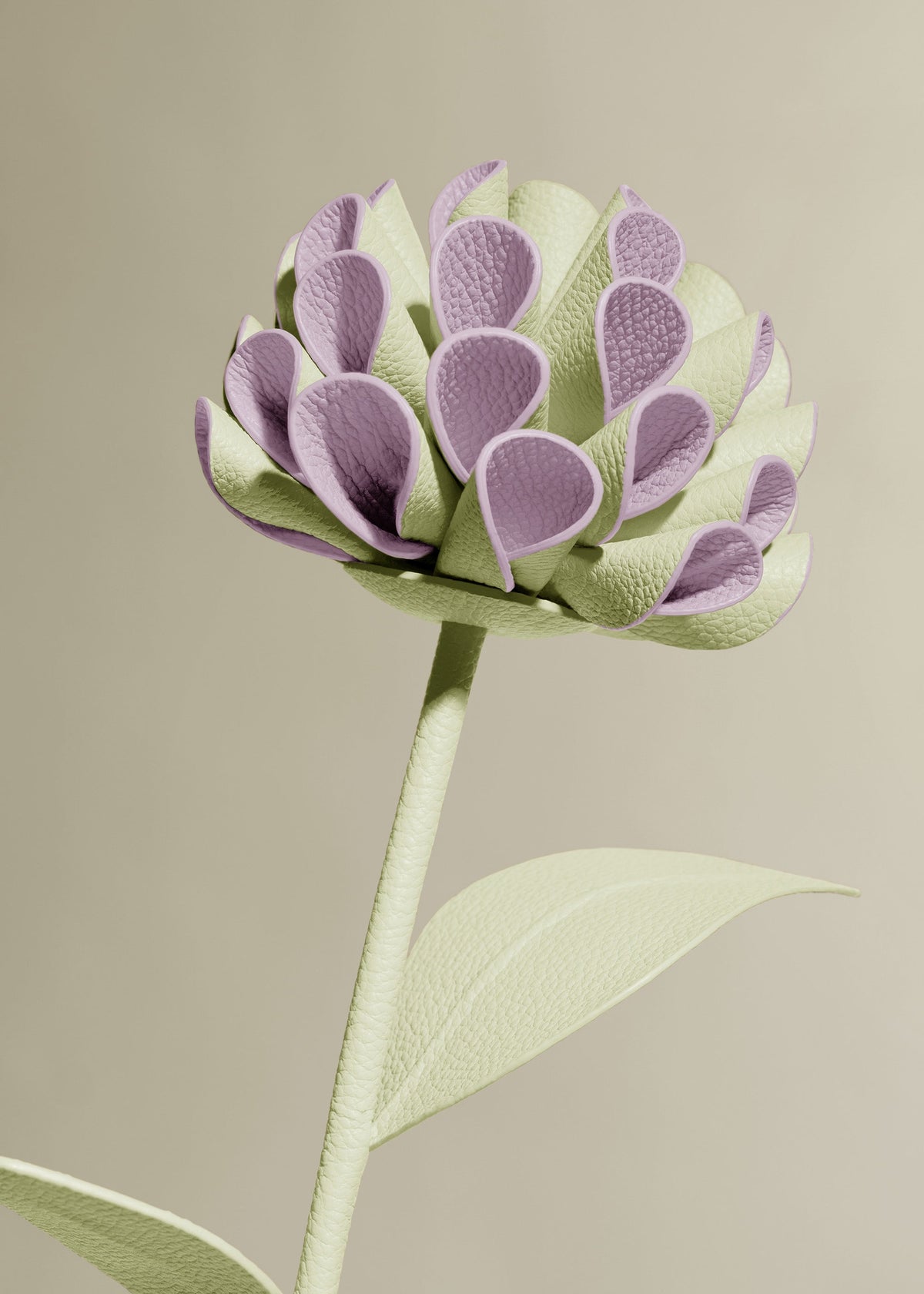 Blume Dalium  - Aloe Vera