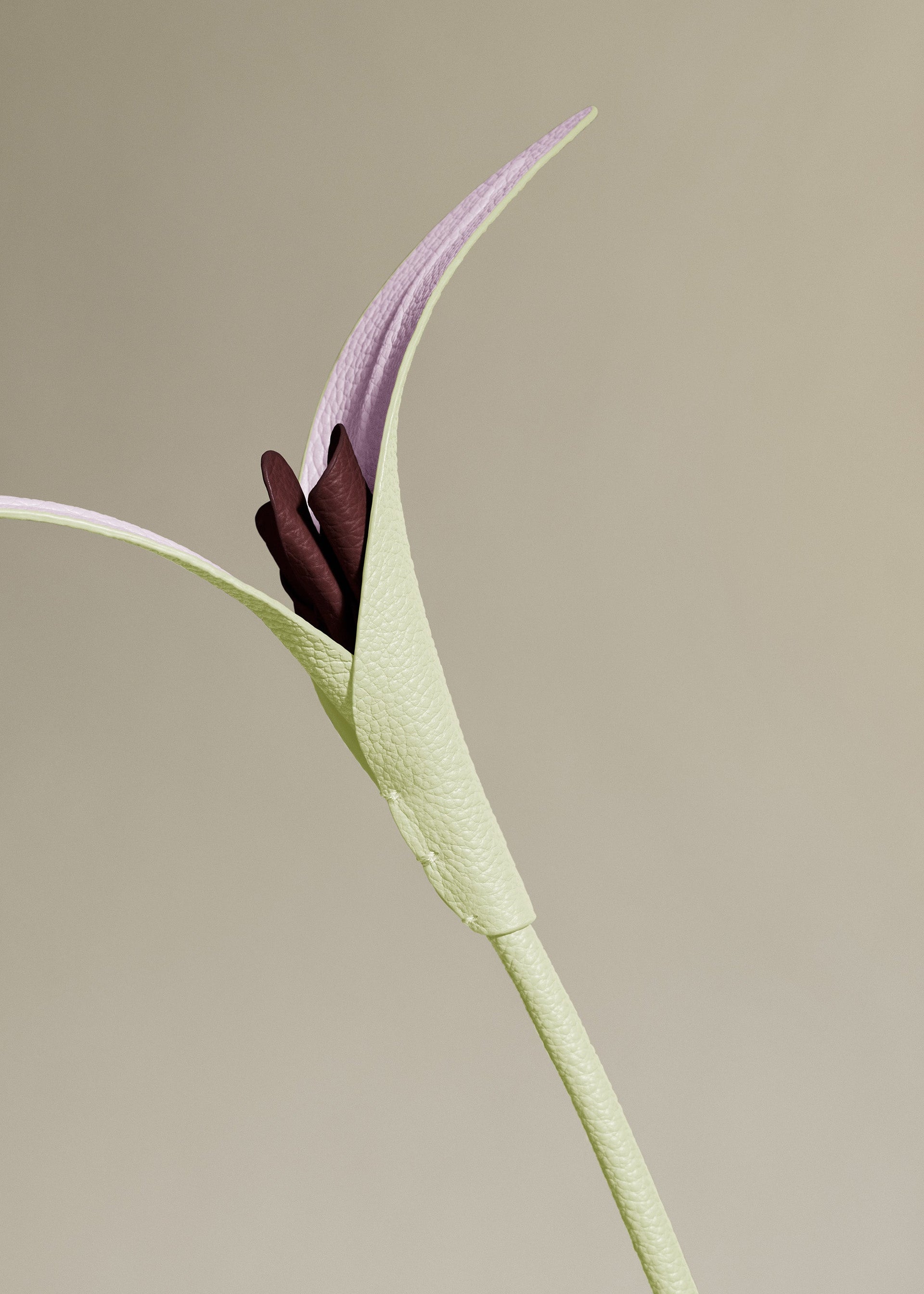 Blume Touka  - Aloe Vera