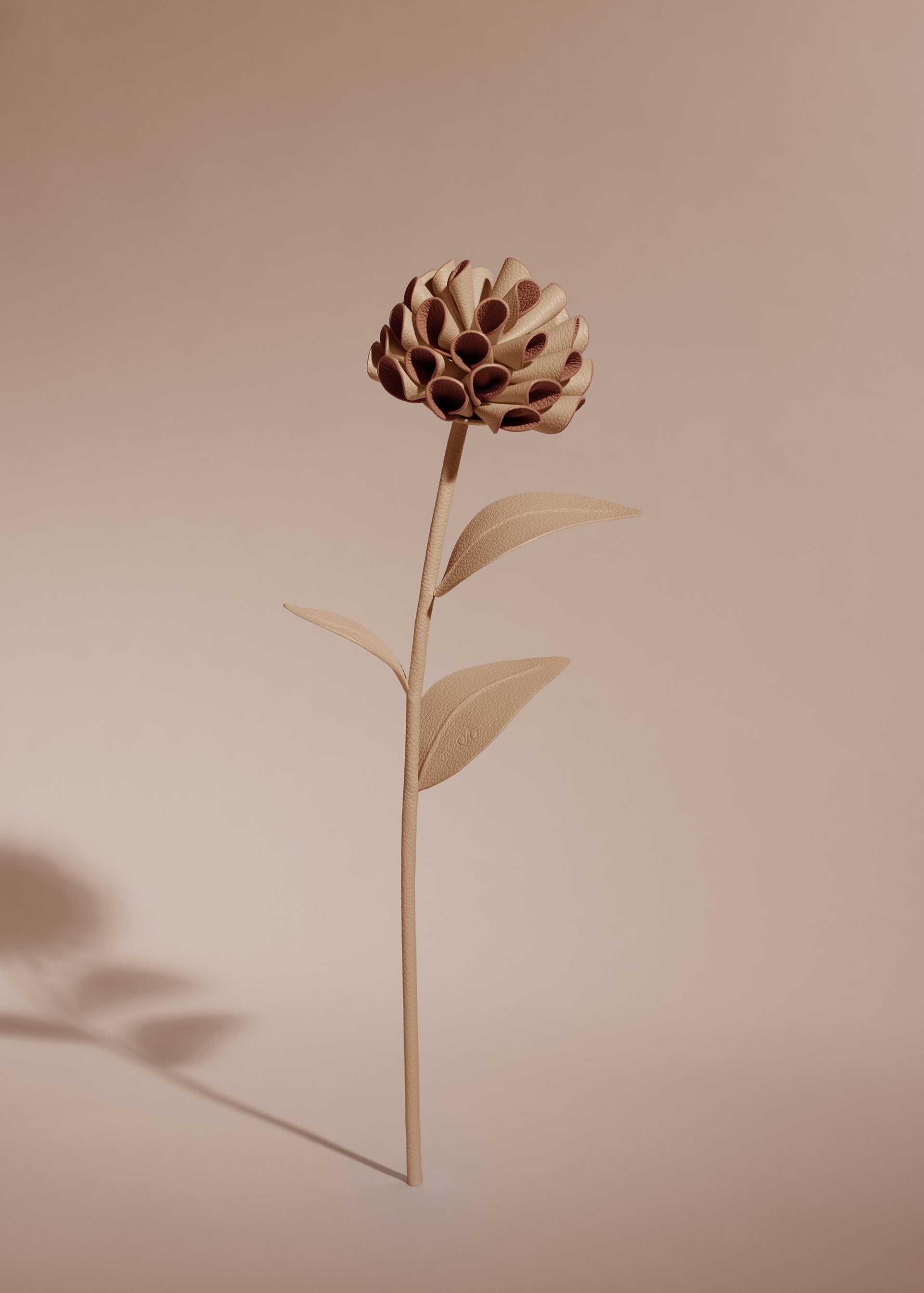 Blume Dalium - Beige