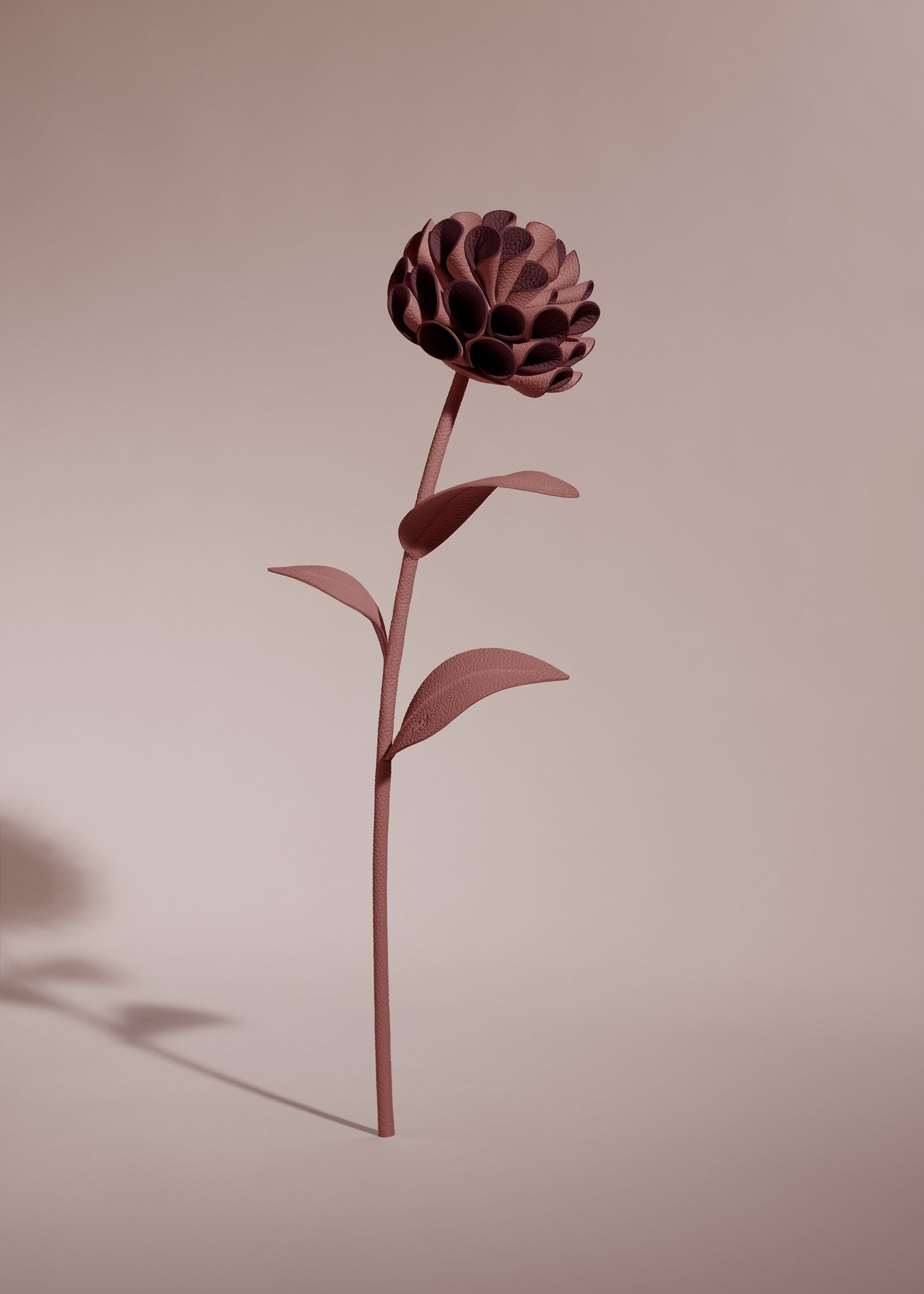 Blume Dalium - Lilac