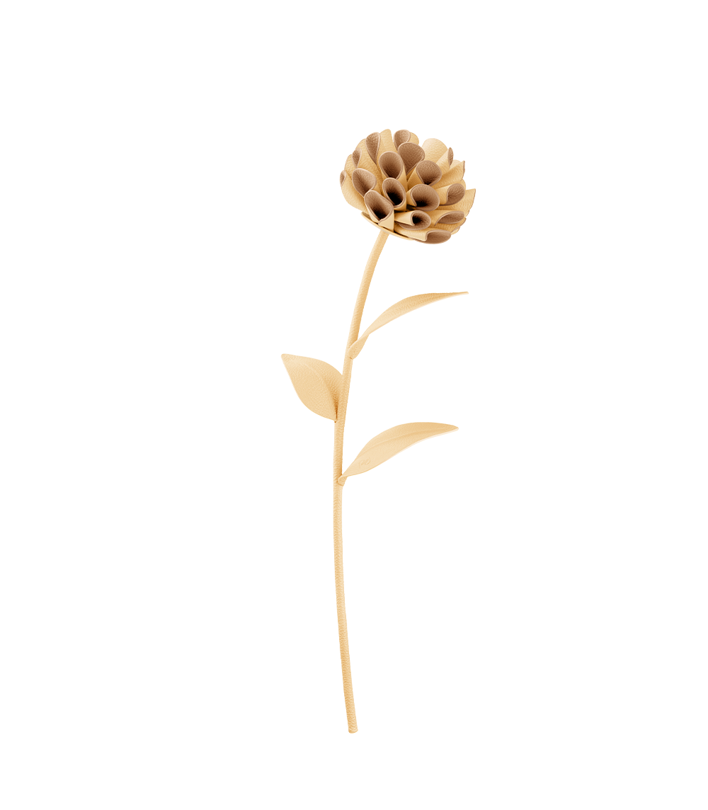 Blume Dalium - Duo Weizen Genarbtes Leder