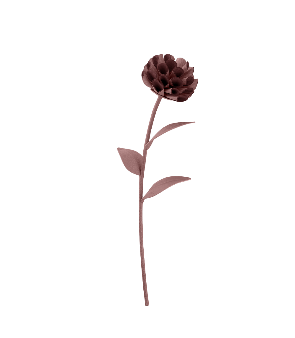 Blume Dalium - Duo Lilac