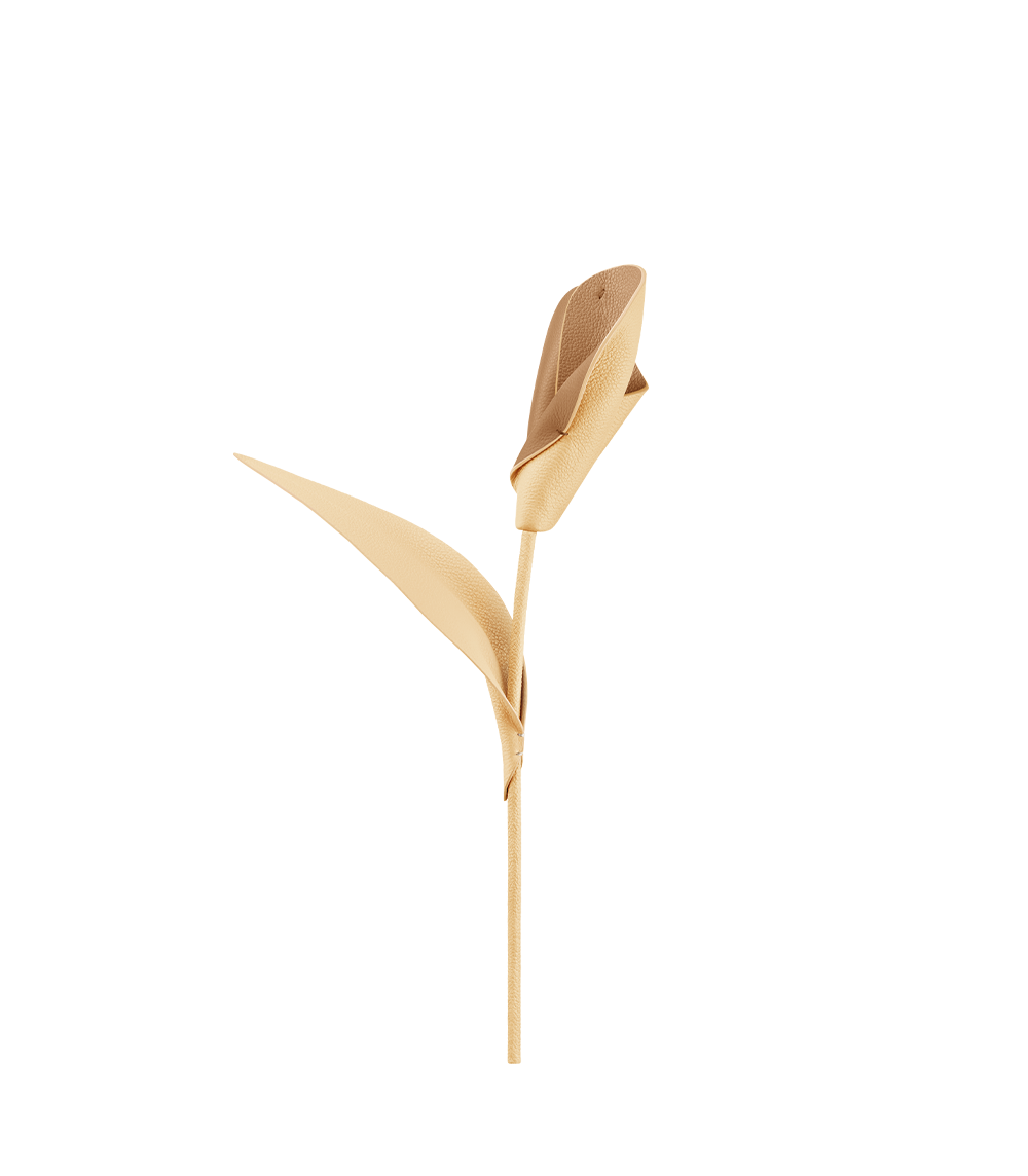 Blume Pili - Duo Weizen Genarbtes Leder