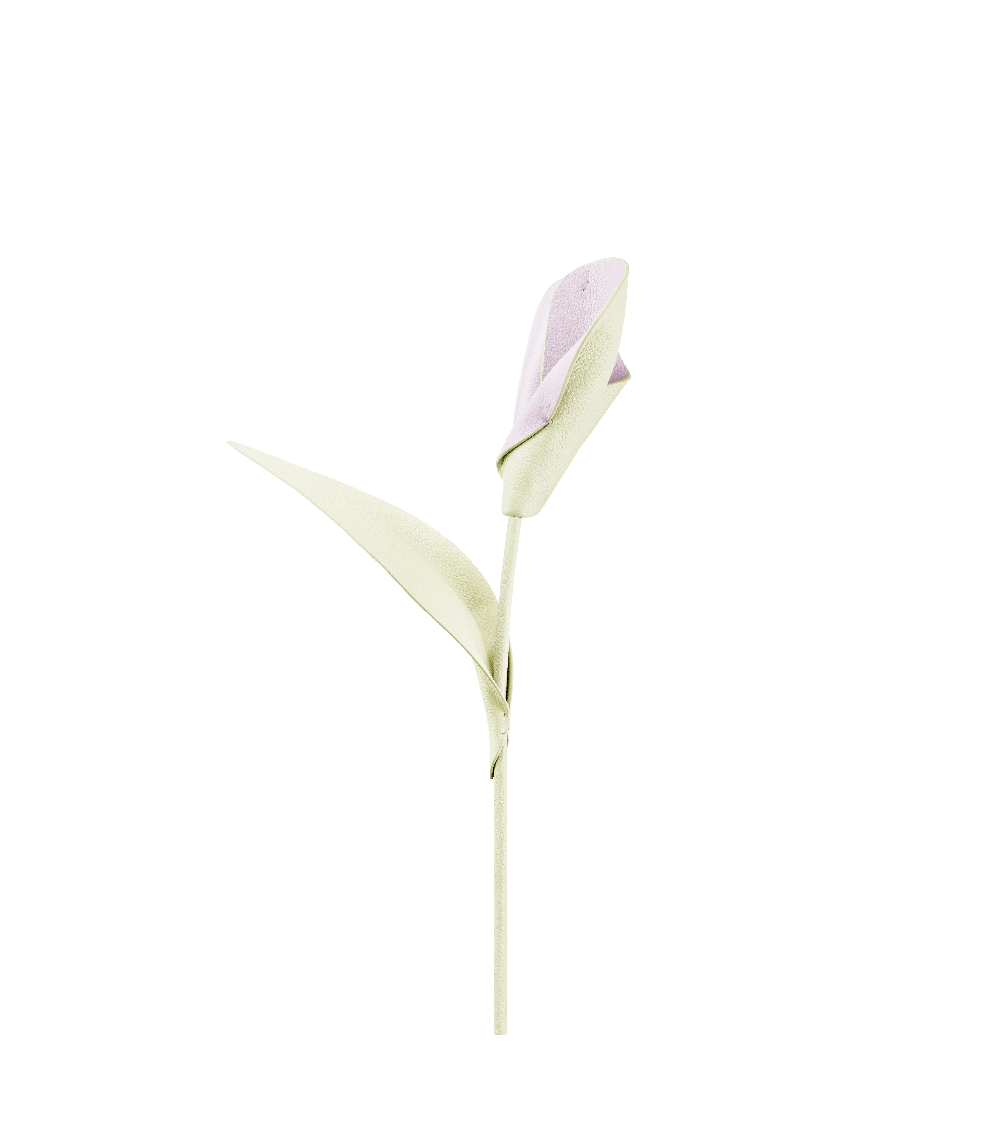 Blume Pili  - Aloe Vera