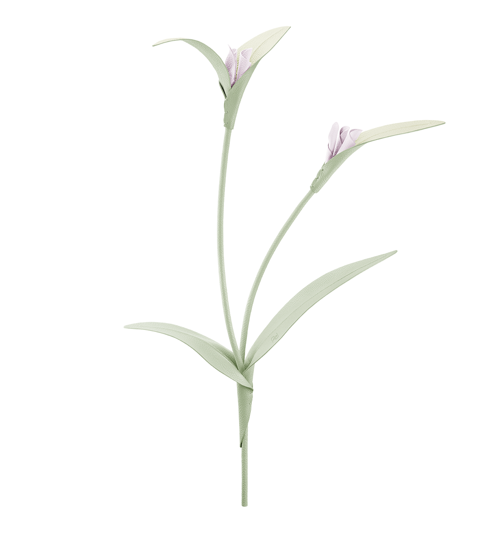 Blume Touka - Trio Mandel Fresh