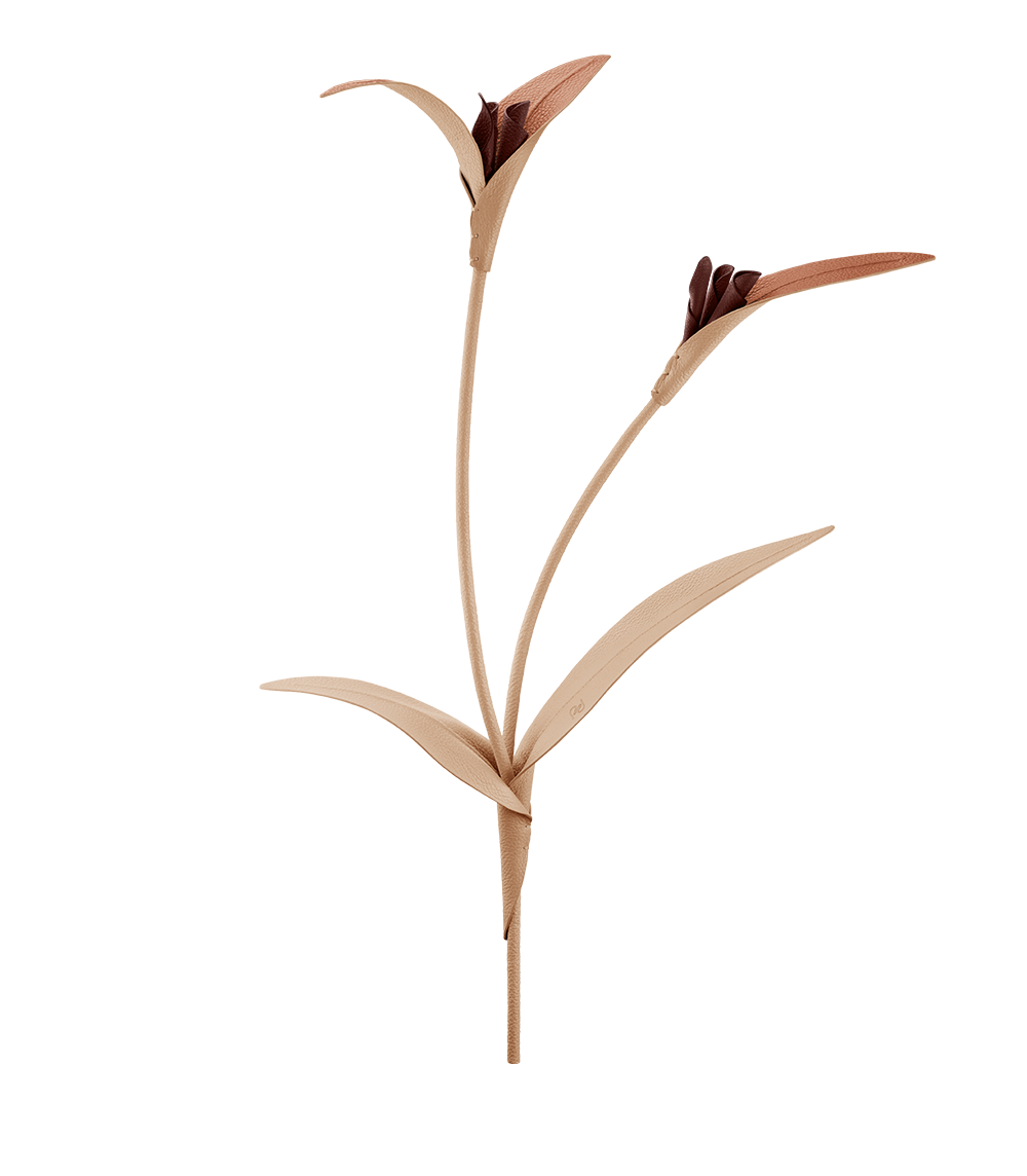 Blume Touka - Trio Beige