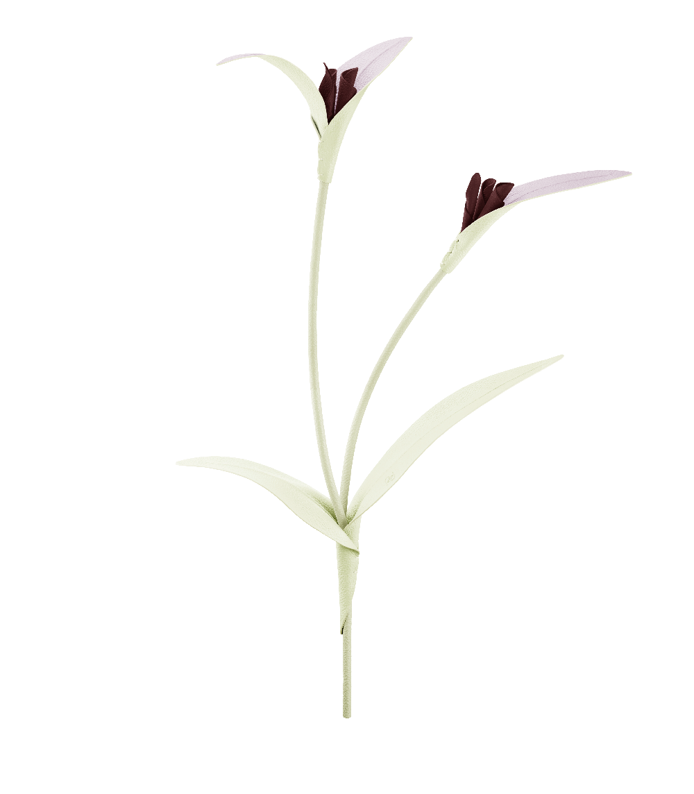 Blume Touka  - Aloe Vera