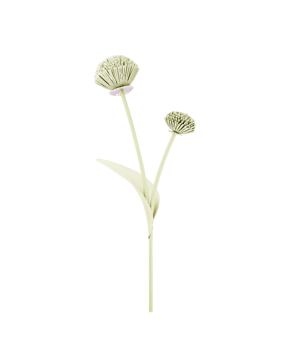 Blume Tul  - Aloe Vera